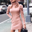 Shonlo | Turtle neck bodycon knitted dress 