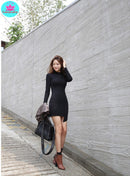 Shonlo | high collar black dress 